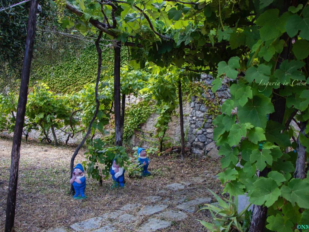 Villa a Finale ligure in Via Guglielmina d'Olanda, 8 - Foto 4