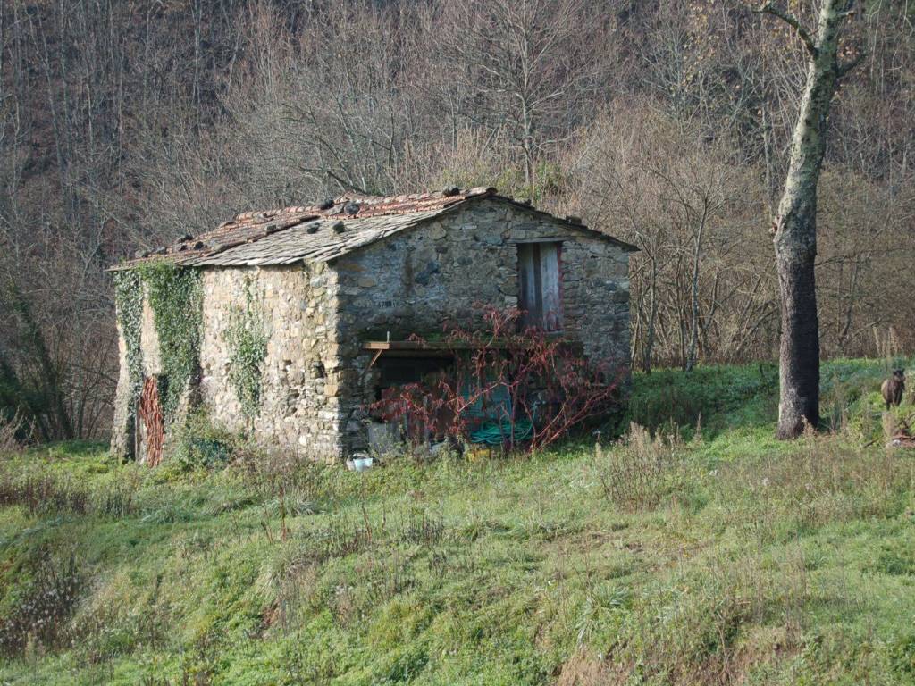 Terreno a Carrodano in Via del Soccorso - Foto 3