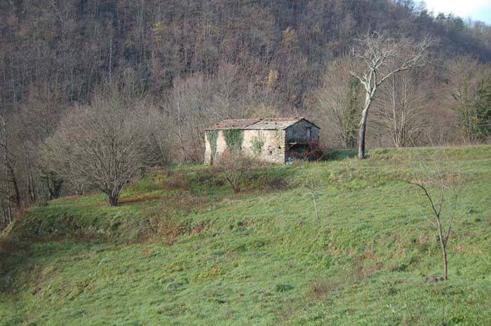 Terreno a Carrodano in Via del Soccorso - Foto 4