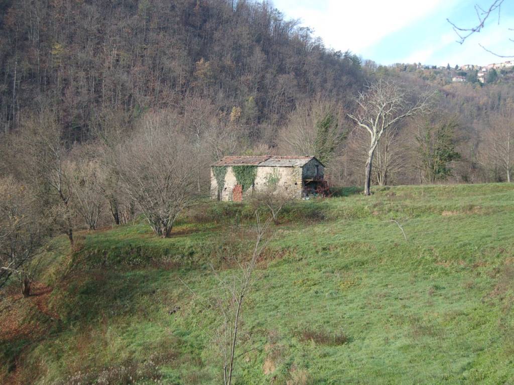 Terreno a Carrodano in Via del Soccorso - Foto 5