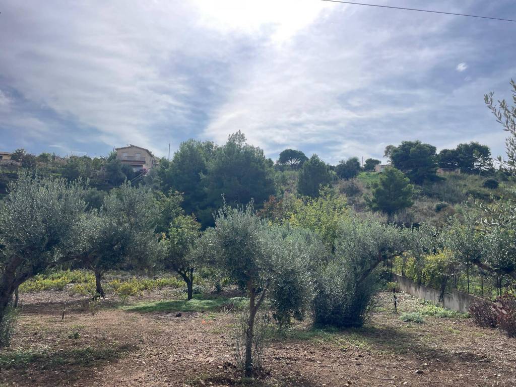 Terreno a Castellammare del golfo - Foto 2