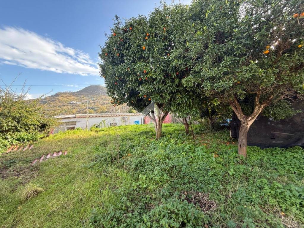 Rustico / casale a Barano d'ischia in Via Chiummano, 4 - Foto 2
