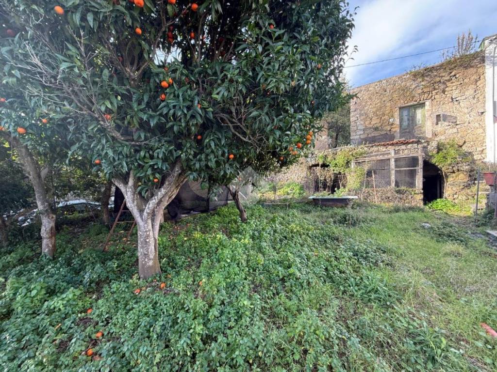 Rustico / casale a Barano d'ischia in Via Chiummano, 4 - Foto 3