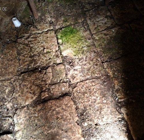 Rustico / casale a Ostuni in SP14 - Foto 5