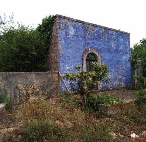 Rustico / casale a Ostuni in SP14 - Foto 2