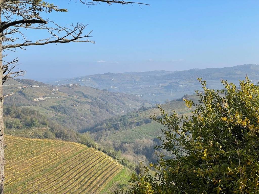 Rustico / casale a Santo stefano belbo in Via Torre, 2 - Foto 3