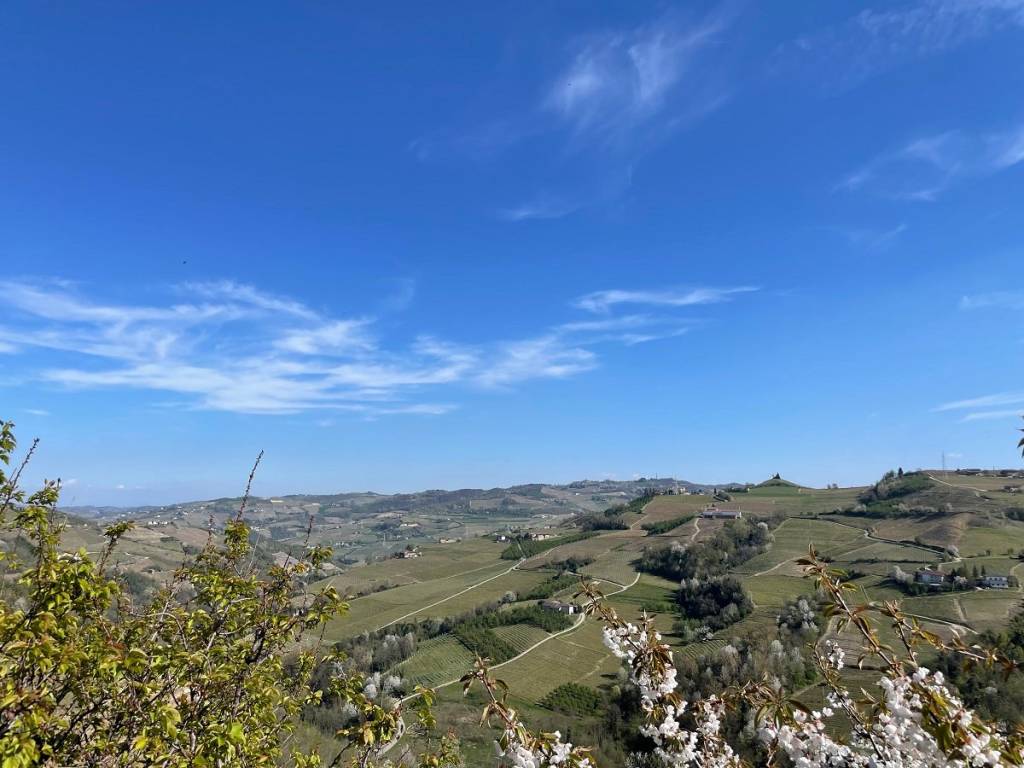 Rustico / casale a Santo stefano belbo in Via Torre, 2 - Foto 4