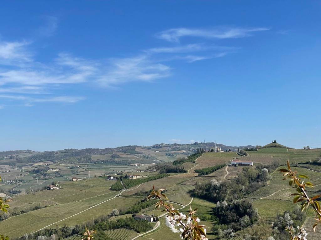 Rustico / casale a Santo stefano belbo in Via Torre, 2 - Foto 5