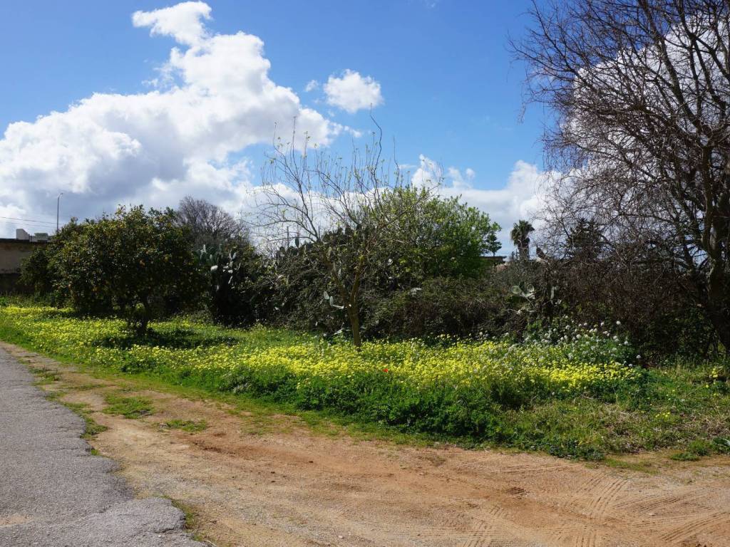 Terreno a Castelvetrano in Contrada Stella - Foto 3