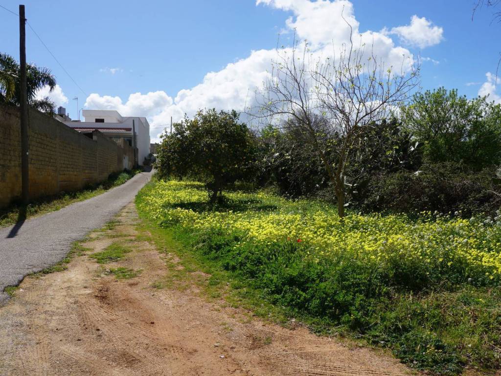 Terreno a Castelvetrano in Contrada Stella - Foto 5