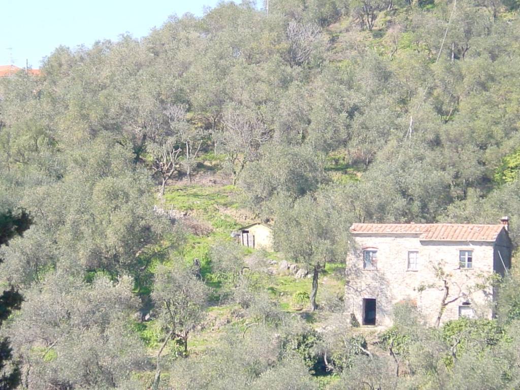 Rustico / casale a Lerici in Via Gozzano Traversa 1, 7 - Foto 3