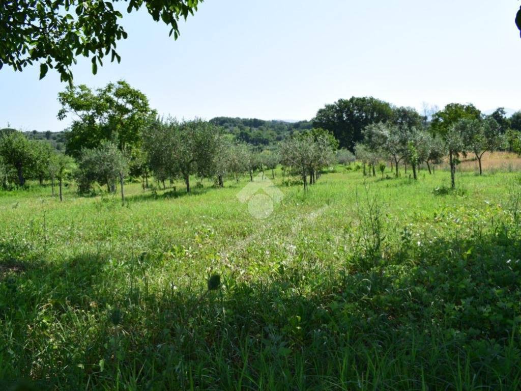 Terreno a Sant'agata de' goti in C/da Presta - Foto 2