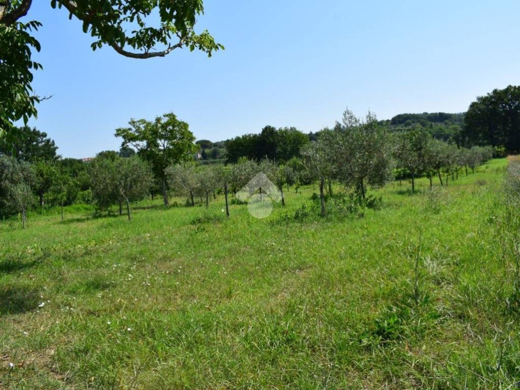 Terreno a Sant'agata de' goti in C/da Presta - Foto 3