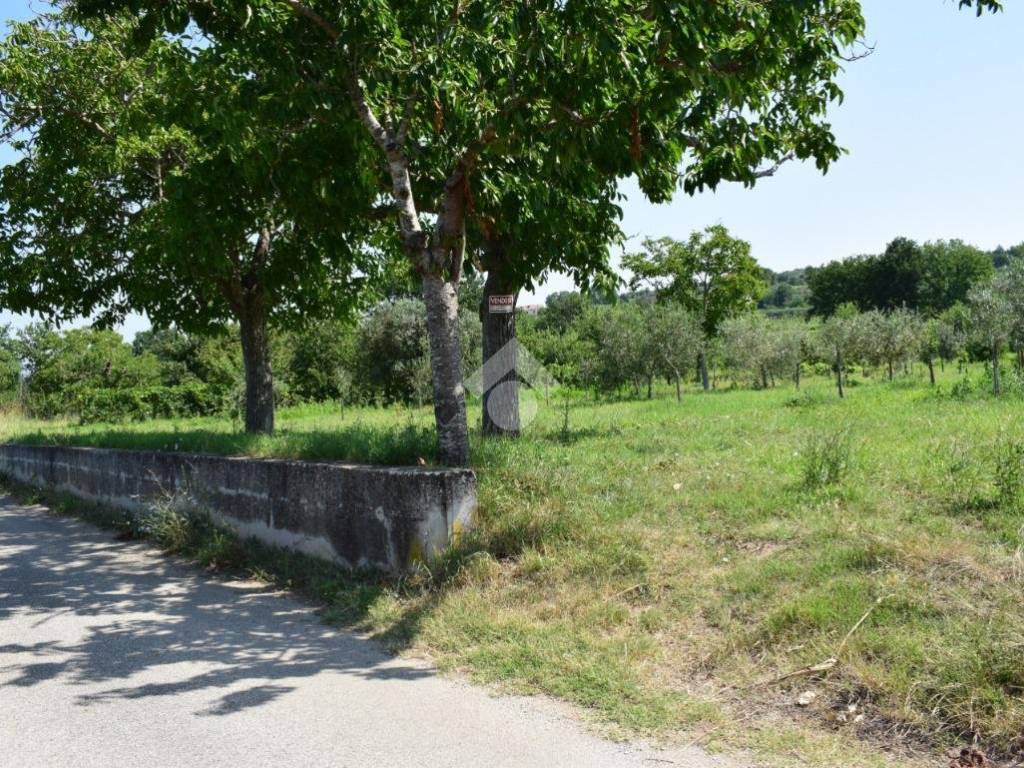 Terreno a Sant'agata de' goti in C/da Presta - Foto 4