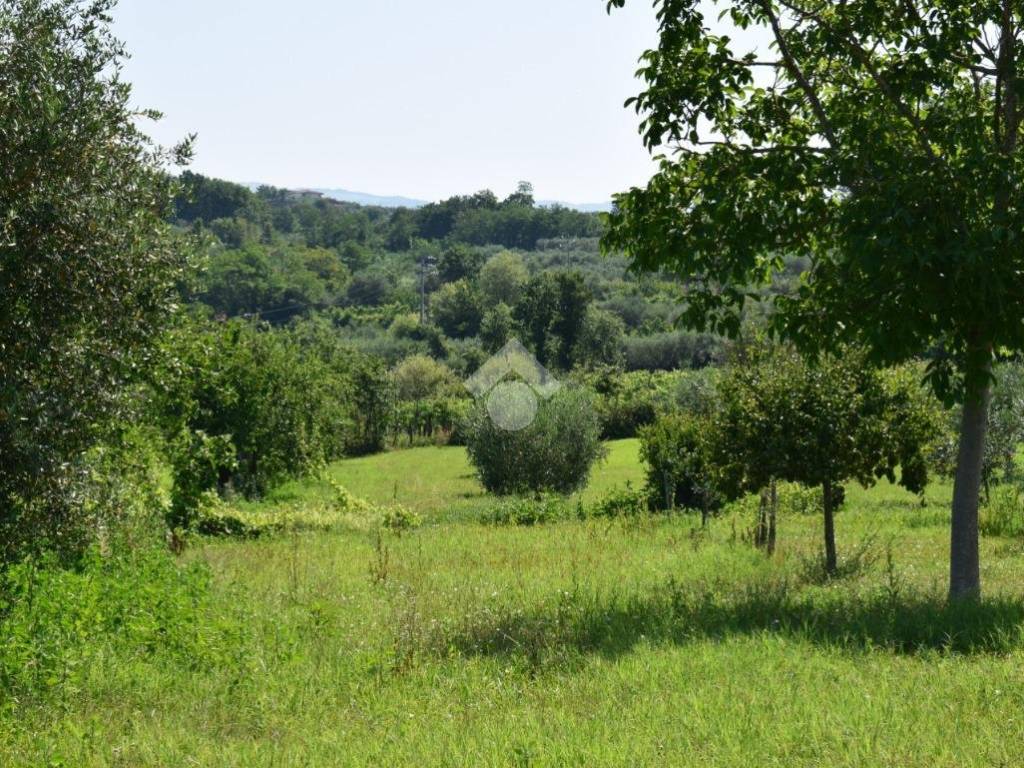 Terreno a Sant'agata de' goti in C/da Presta - Foto 5