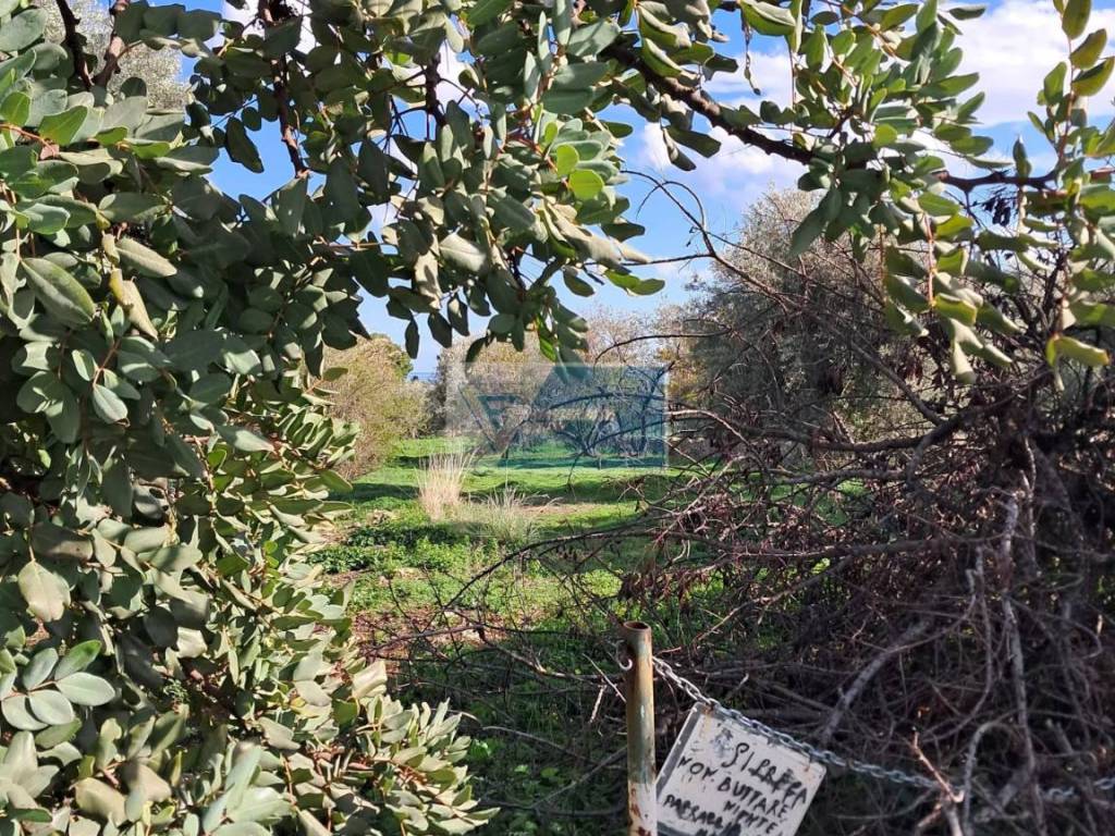 Terreno a Priolo gargallo in CONTRADA TALA PRIOLO GARGALLO - Foto 4