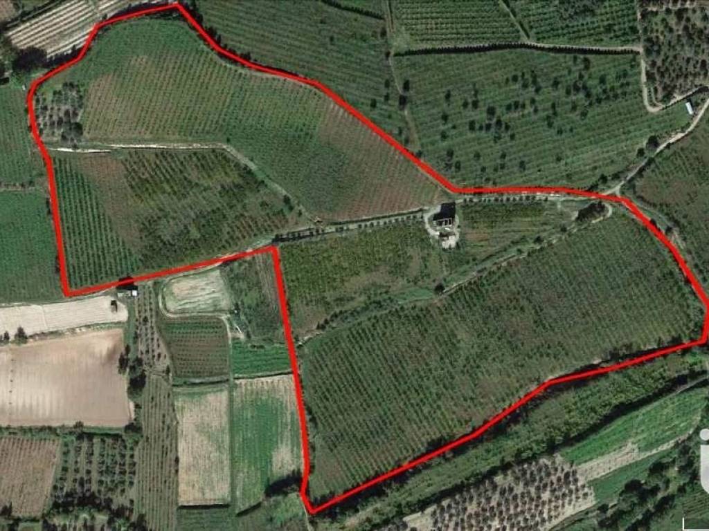 Terreno a Sessa aurunca in LocalitÃ Rongolisi, 1 - Foto 2