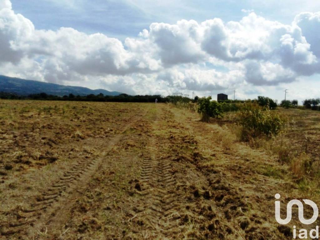 Terreno a Sessa aurunca in LocalitÃ Rongolisi, 1 - Foto 3