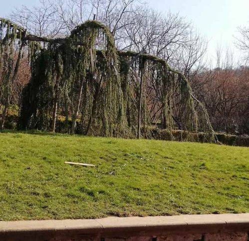 Villa a Avellino in Contrada Bagnoli - Foto 4