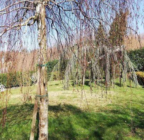 Villa a Avellino in Contrada Bagnoli - Foto 5