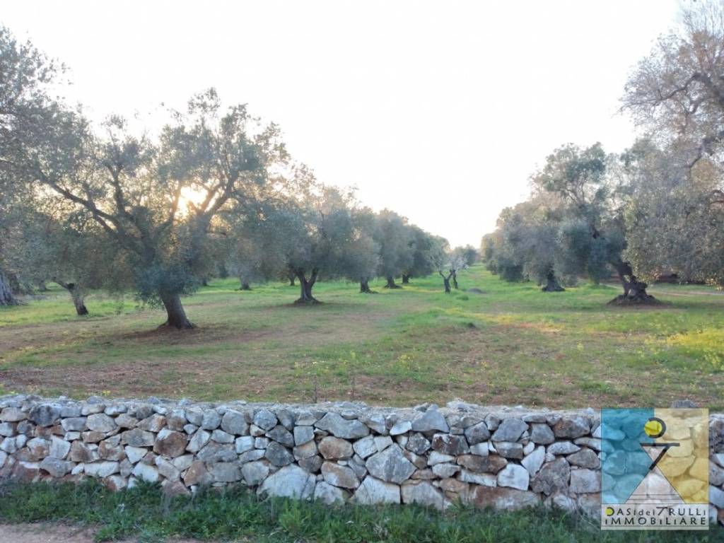 Terreno a San vito dei normanni in Contrada Monte - Foto 2