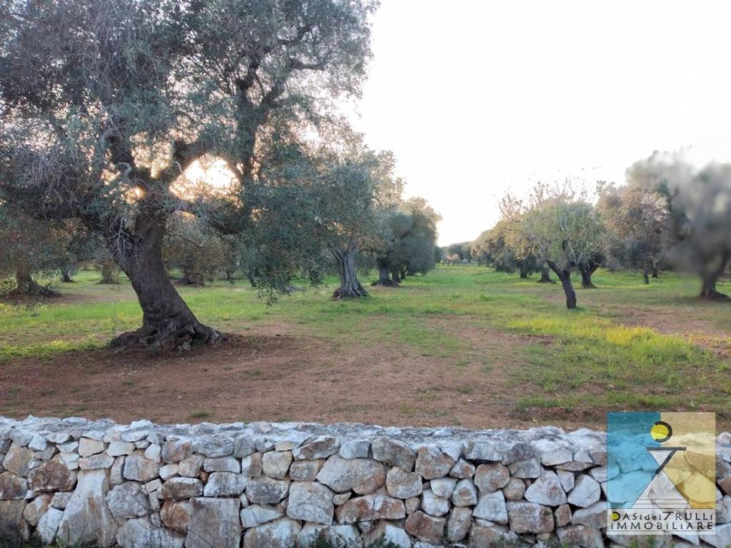 Terreno a San vito dei normanni in Contrada Monte - Foto 3