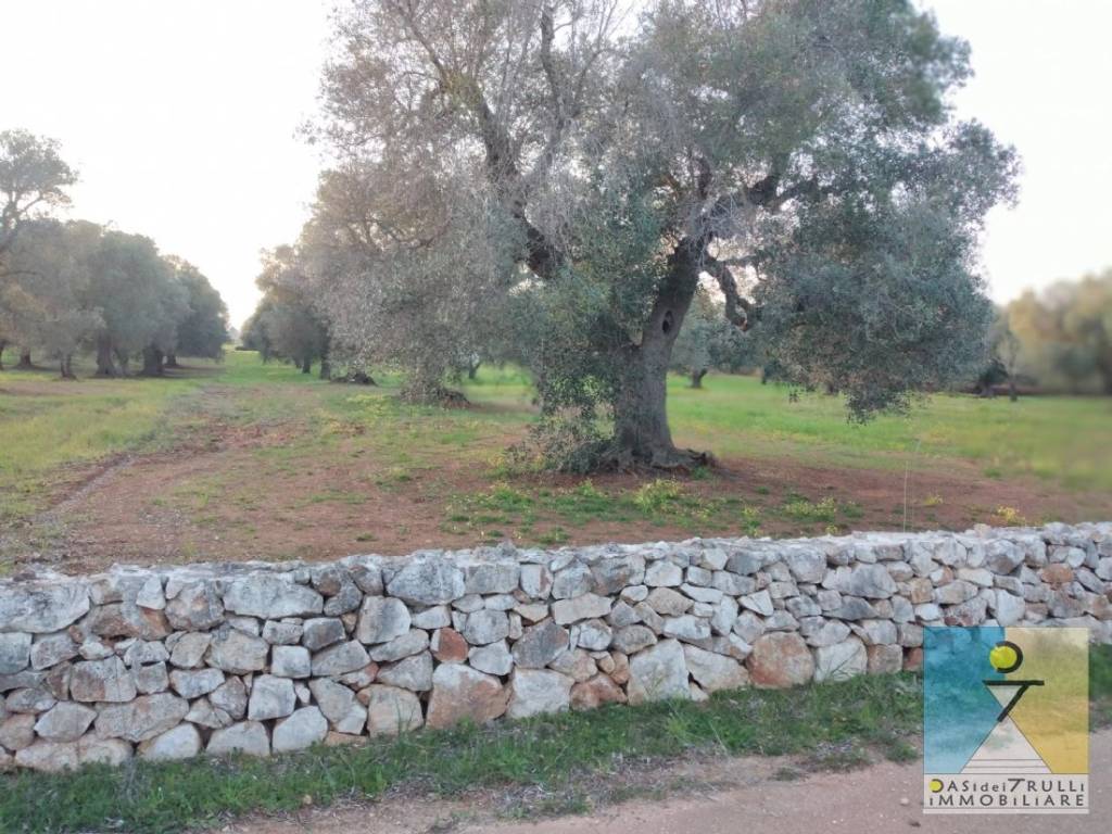 Terreno a San vito dei normanni in Contrada Monte - Foto 4