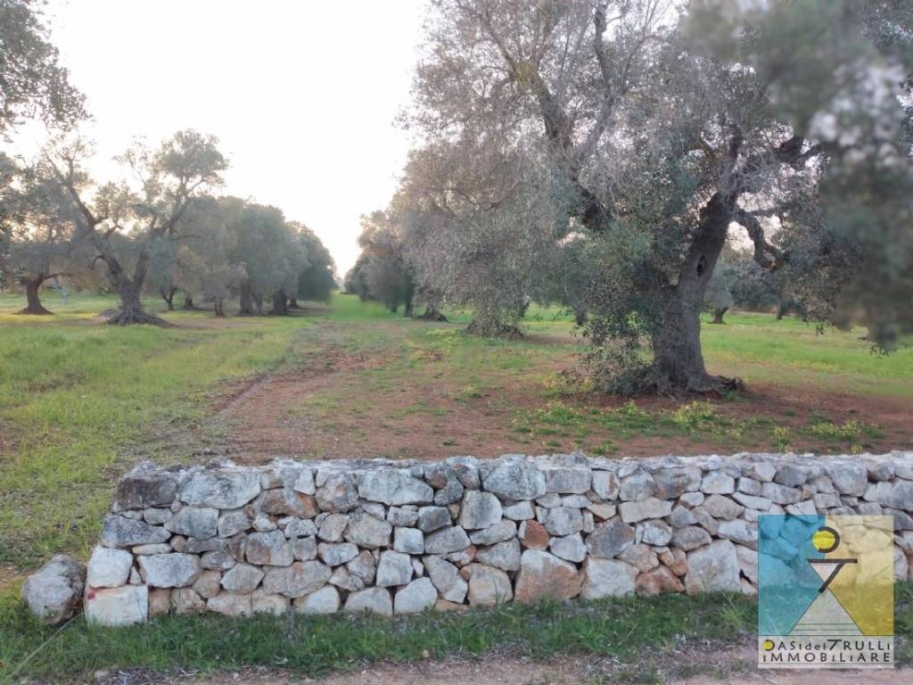 Terreno a San vito dei normanni in Contrada Monte - Foto 5