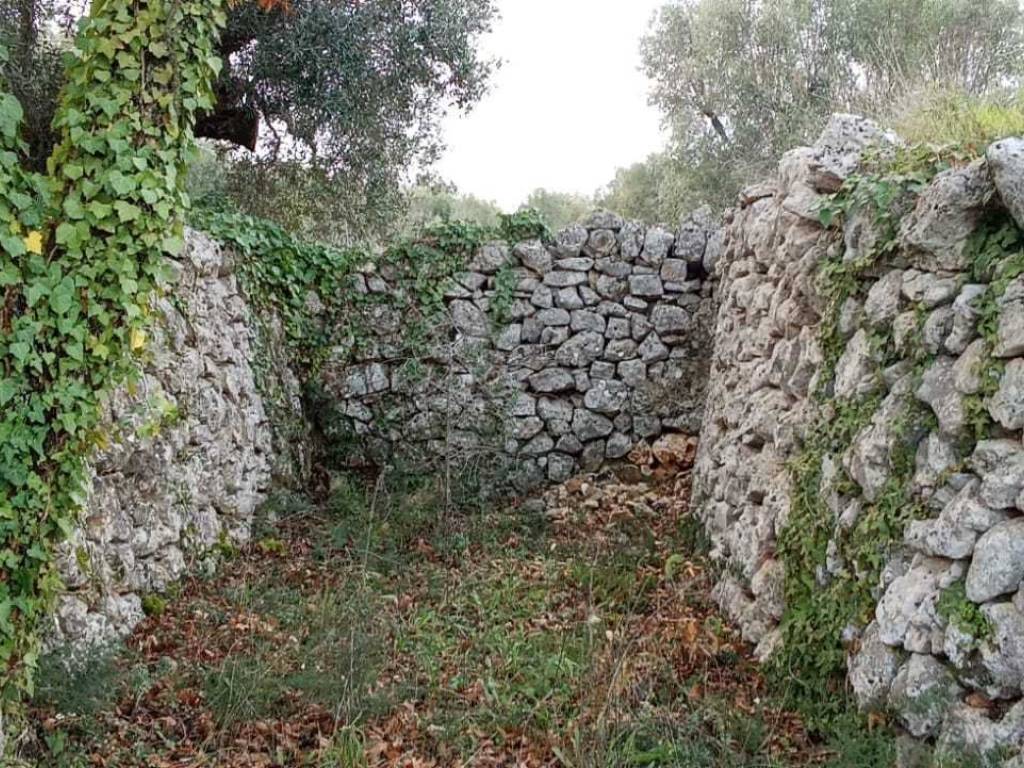 Terreno a Villa castelli in Strada Comunale Abate Carlo Masseria Cuoco - Foto 5