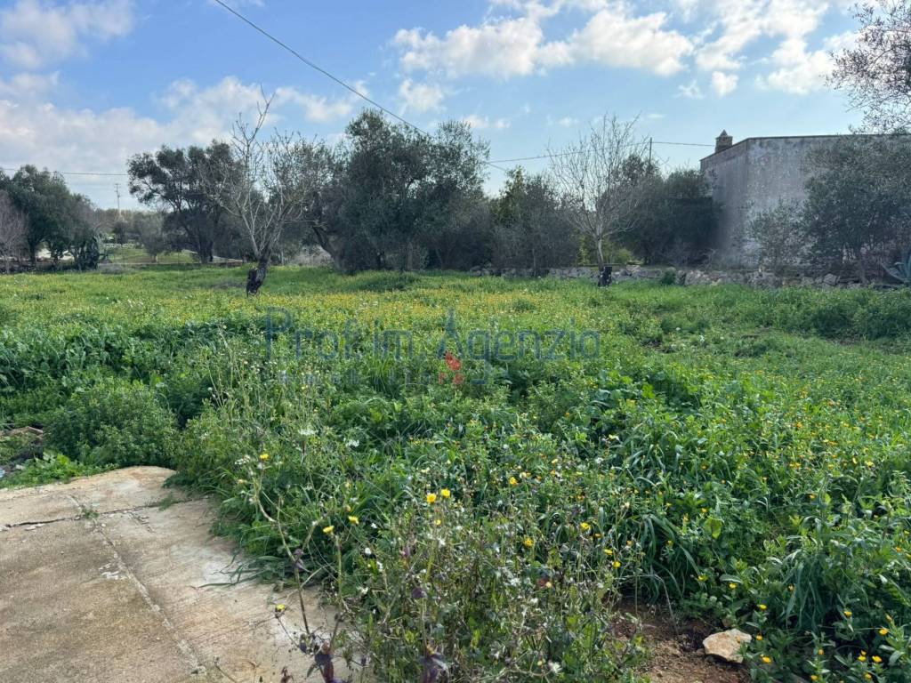 Villa a Carovigno - Foto 5