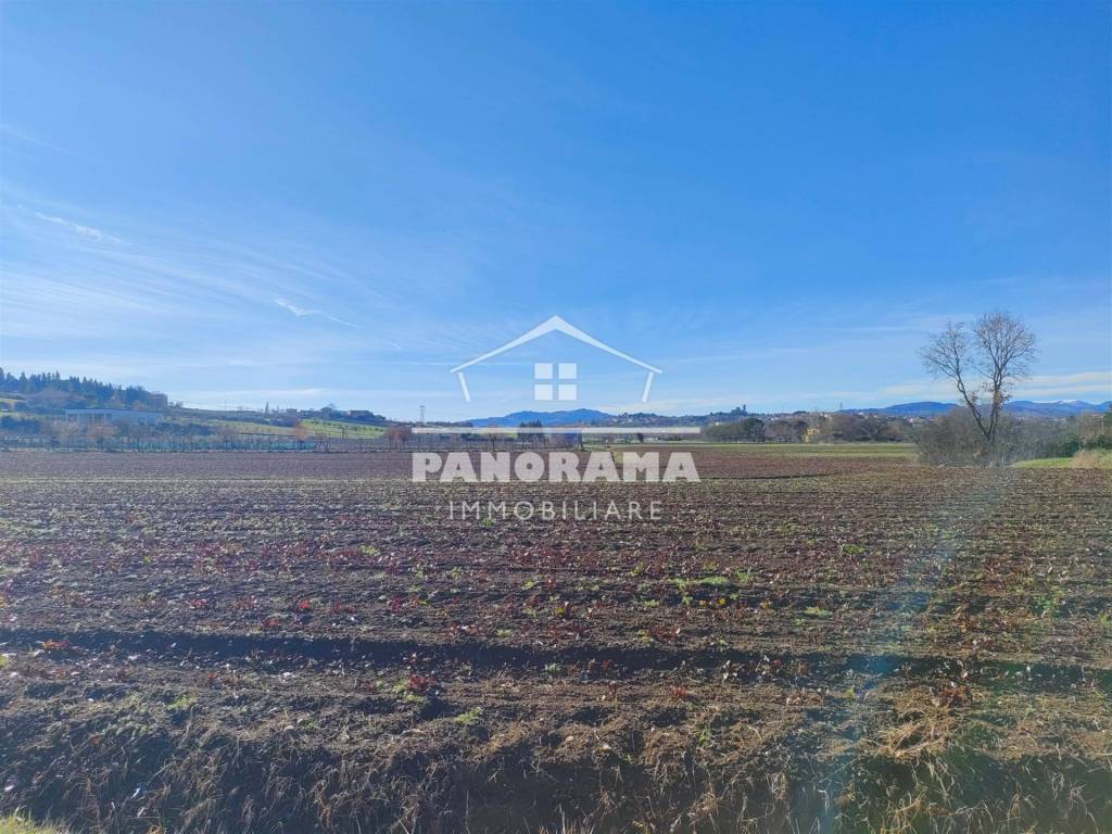 Terreno a Coriano - Foto 3