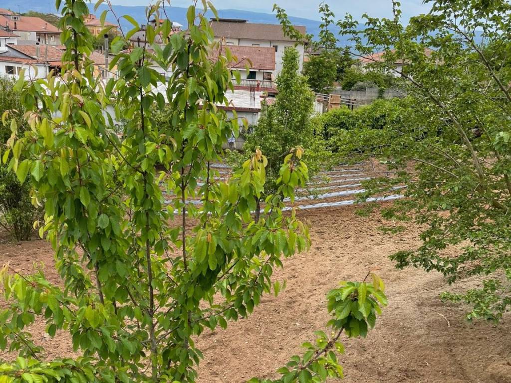 Terreno a Ionadi in Via Maria Pisa, 13 - Foto 4