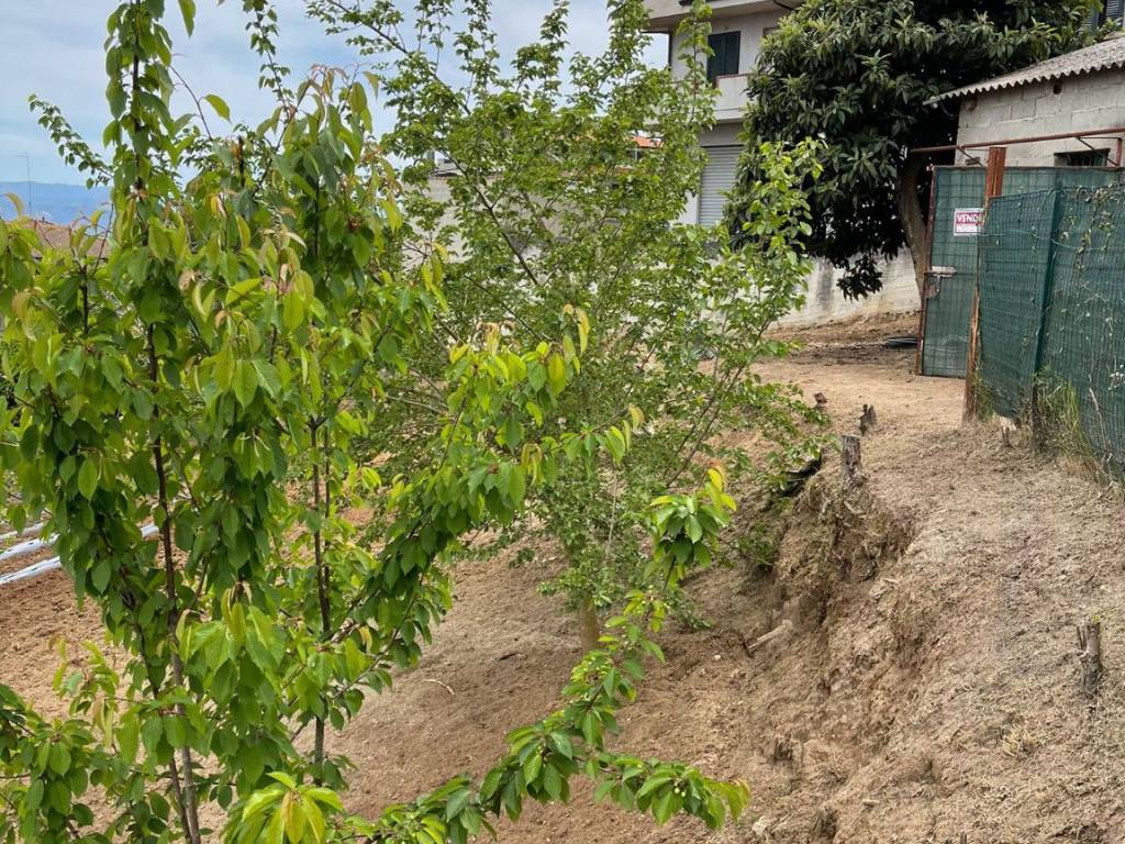 Terreno a Ionadi in Via Maria Pisa, 13 - Foto 5