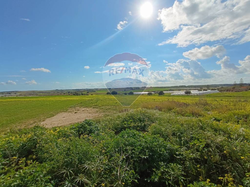Terreno a Noto in contrada Maccari Bovaria - Foto 3
