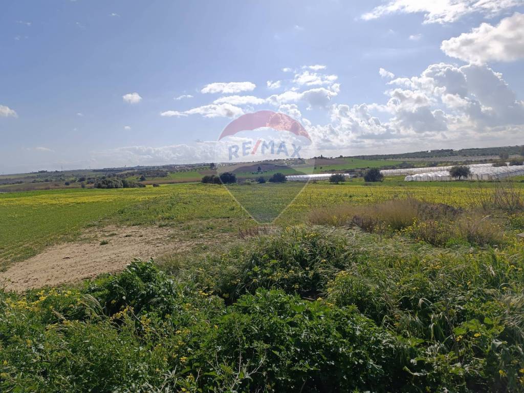 Terreno a Noto in contrada Maccari Bovaria - Foto 4