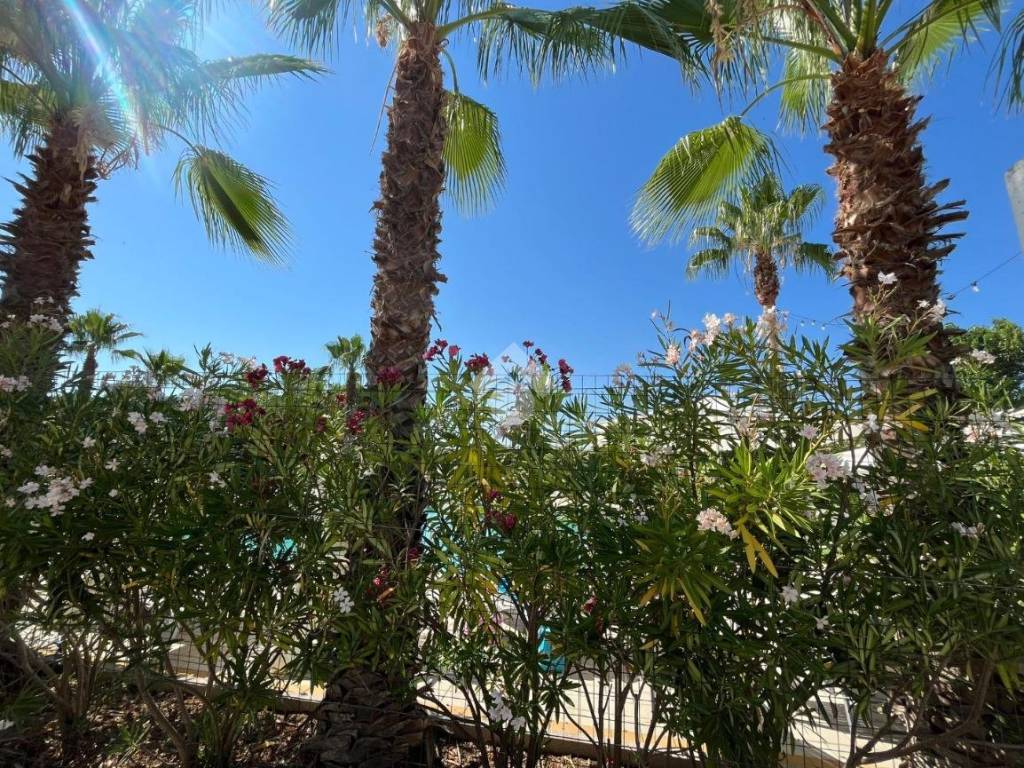 Appartamento a Bernalda in Via torre mare - Foto 4