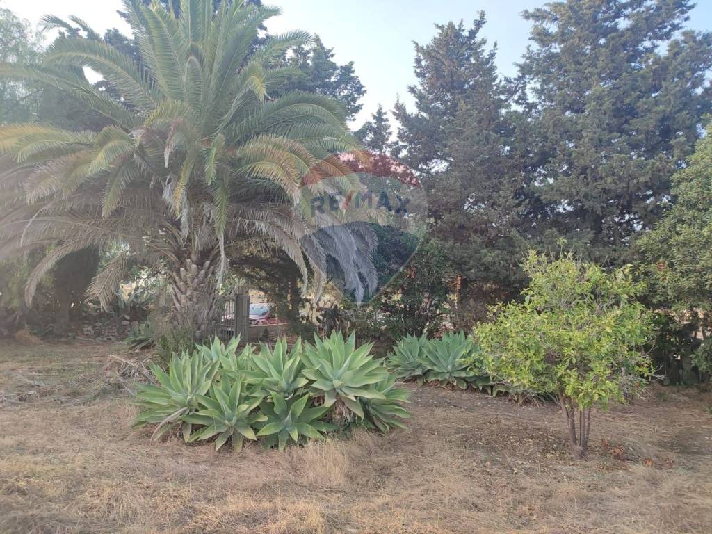 Villa a Scicli in contrada Cozzo Ucci - Foto 3