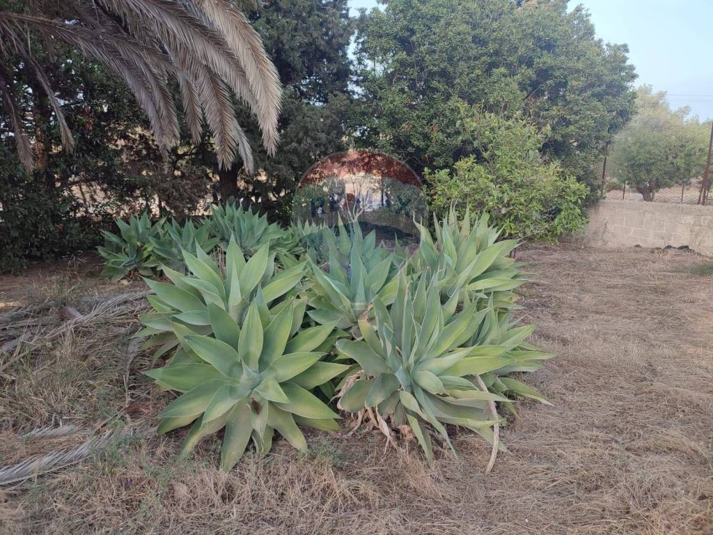 Villa a Scicli in contrada Cozzo Ucci - Foto 4