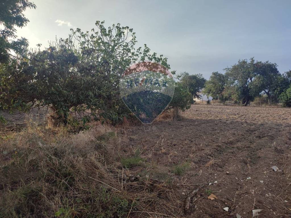 Villa a Scicli in contrada Cozzo Ucci - Foto 5