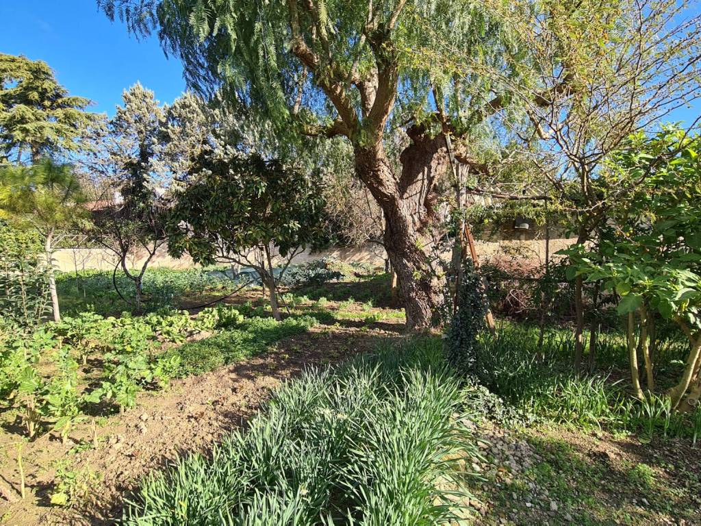 Terreno a Galatone in SP363 - Foto 4