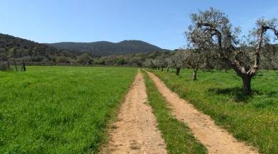 Rustico / casale a Grosseto - Foto 3