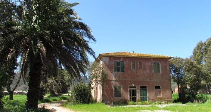Rustico / casale a Grosseto - Foto 5