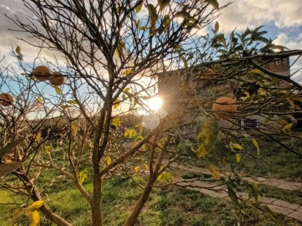 Casa indipendente a Olevano romano in Località San Marco, 2 - Foto 2