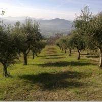 Rustico / casale a Magione - Foto 4