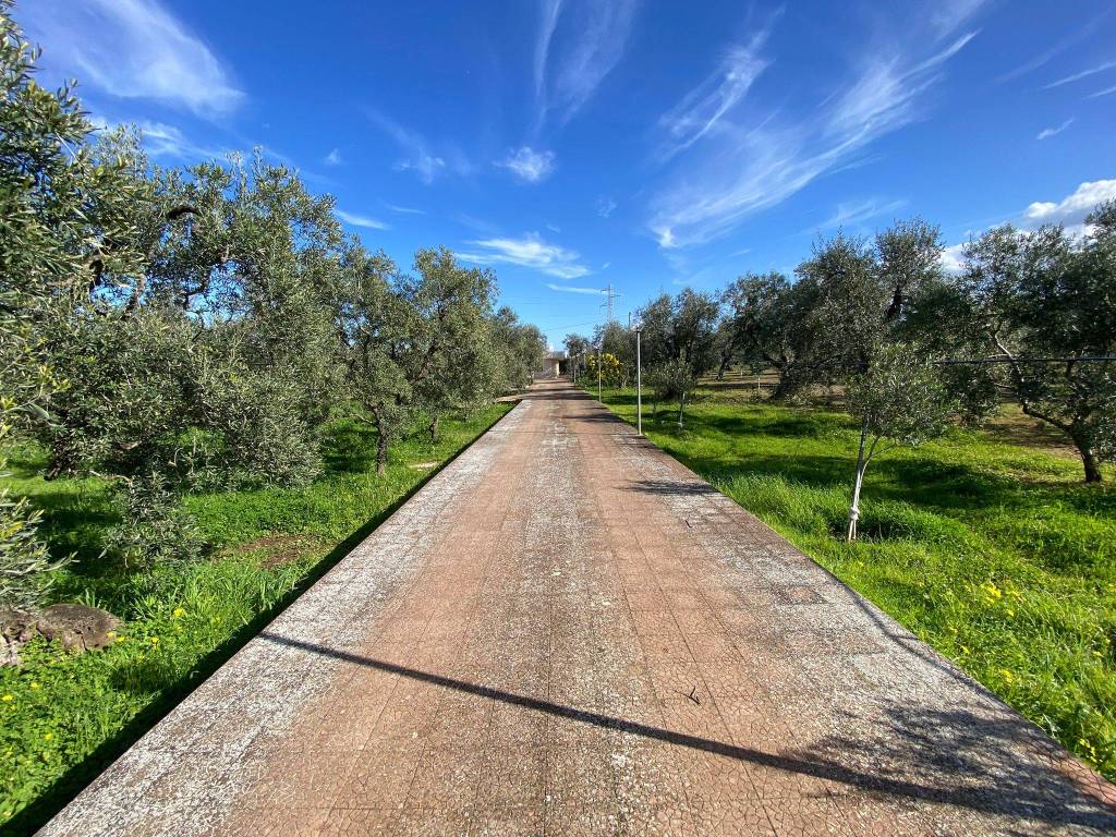 Villa a Molfetta - Foto 2