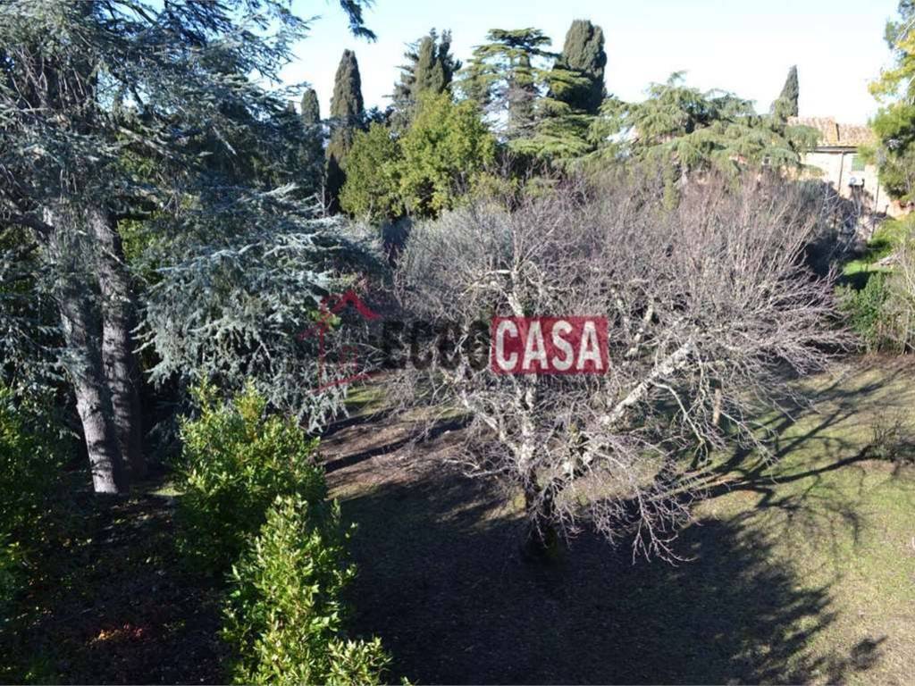 Appartamento a Lajatico - Foto 3