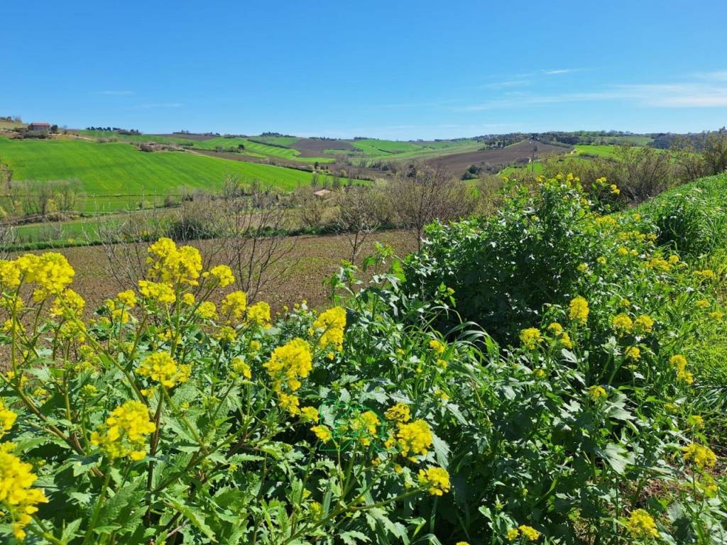 Villa a Fano in Località Caminate - Foto 2