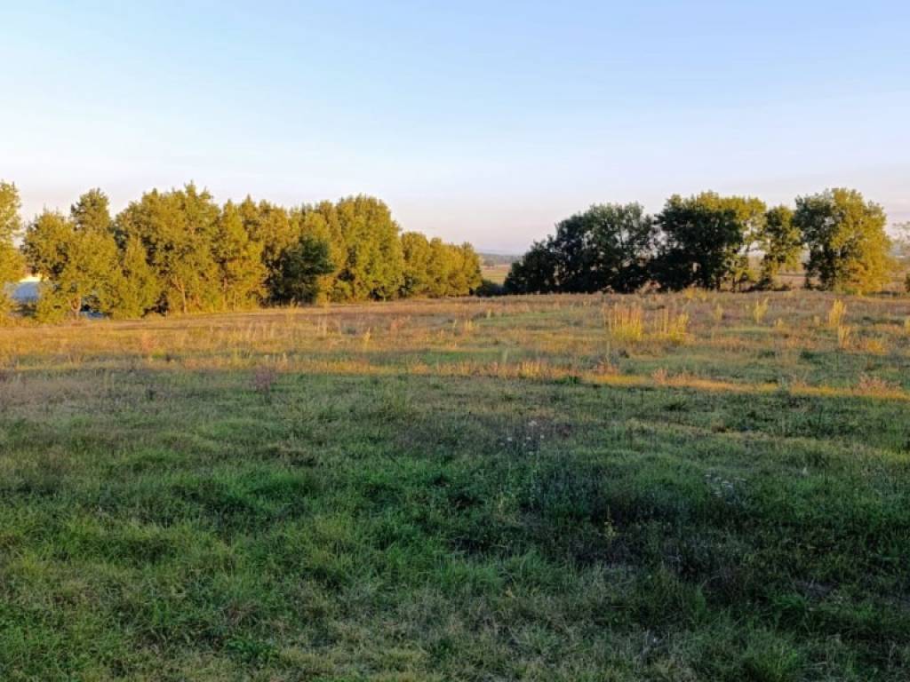 Rustico / casale a Lucignano - Foto 5