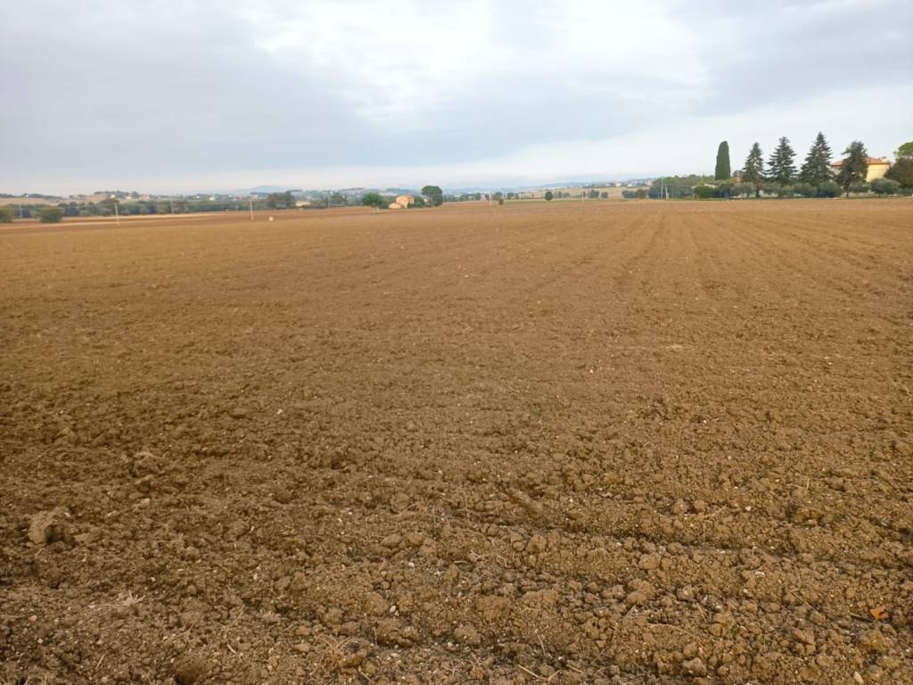 Terreno a Treia in Via Roma - Foto 5