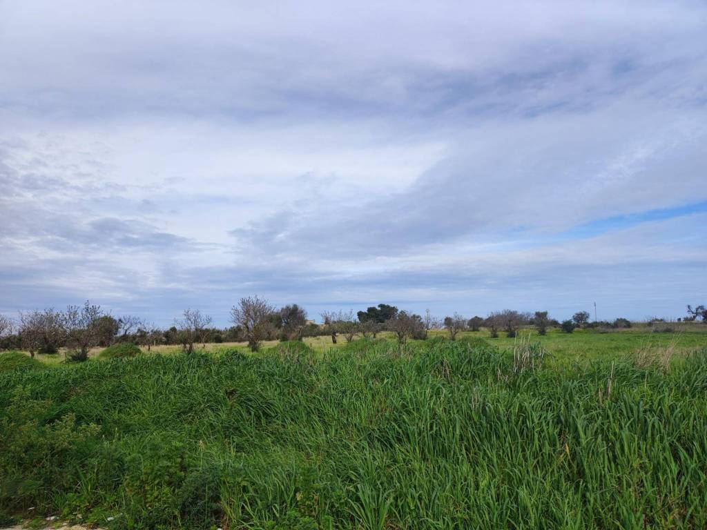 Villa a Brindisi in Strada per Serranova - Foto 4